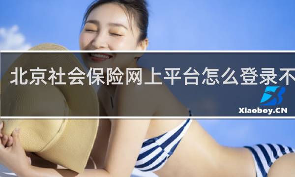 北京社会保险网上平台怎么登录不进去