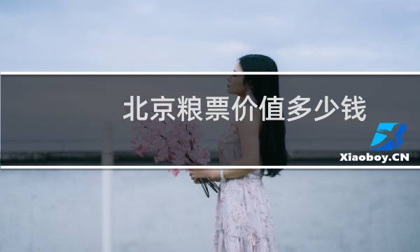 北京粮票价值多少钱
