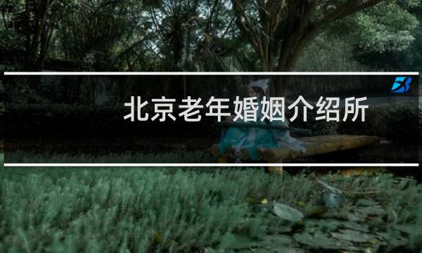 北京老年婚姻介绍所