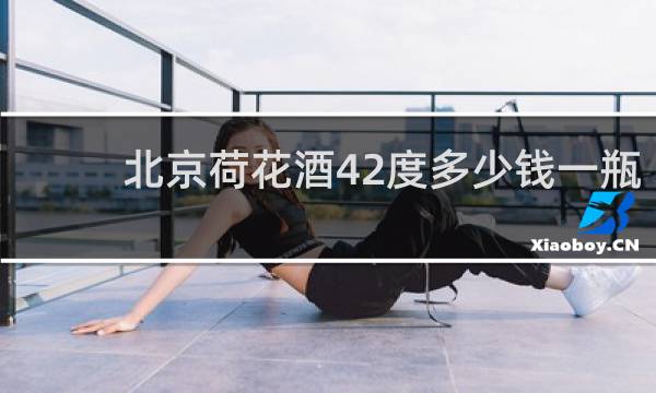 北京荷花酒42度多少钱一瓶