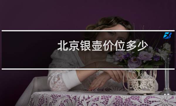 北京银壶价位多少