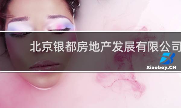 北京银都房地产发展有限公司