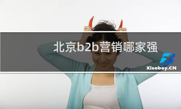 北京b2b营销哪家强