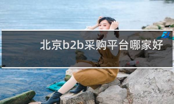 北京b2b采购平台哪家好
