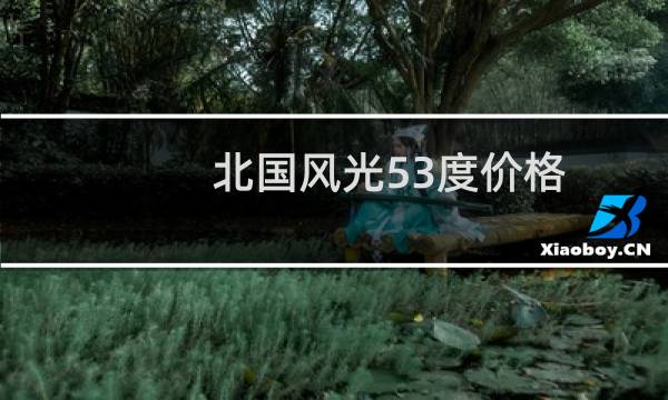 北国风光53度价格
