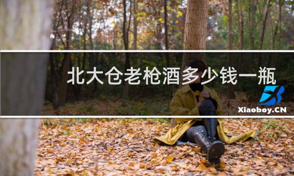 北大仓老枪酒多少钱一瓶