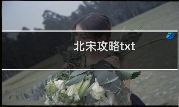 北宋攻略txt