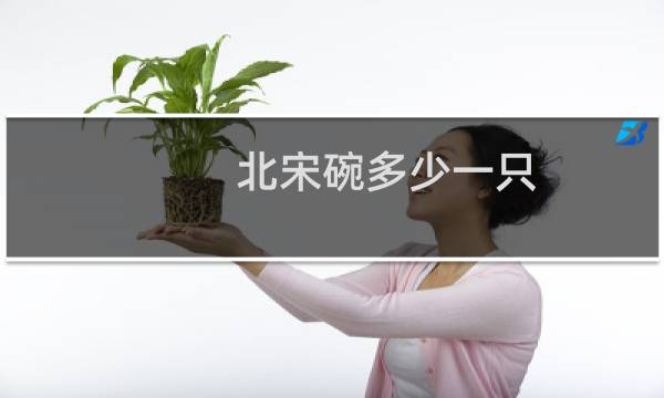 北宋碗多少一只