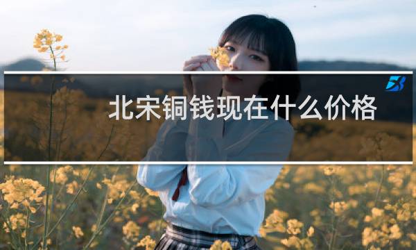 北宋铜钱现在什么价格