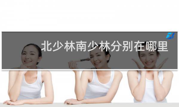 北少林南少林分别在哪里
