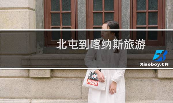 北屯到喀纳斯旅游