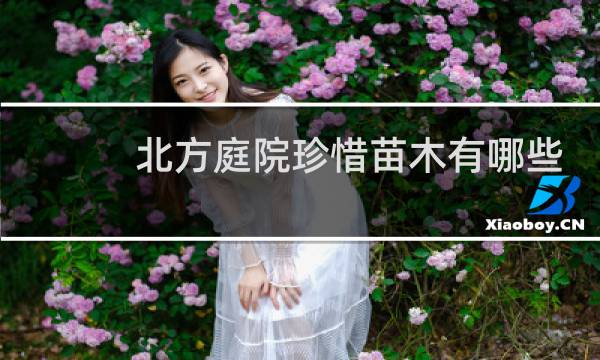 北方庭院珍惜苗木有哪些