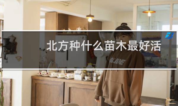 北方种什么苗木最好活