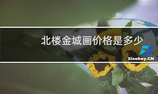 北楼金城画价格是多少