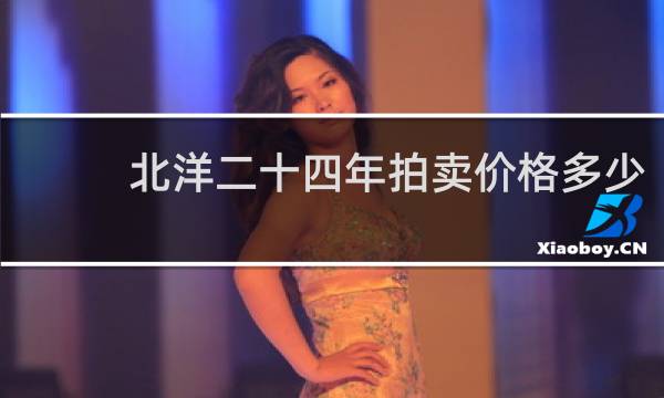 北洋二十四年拍卖价格多少