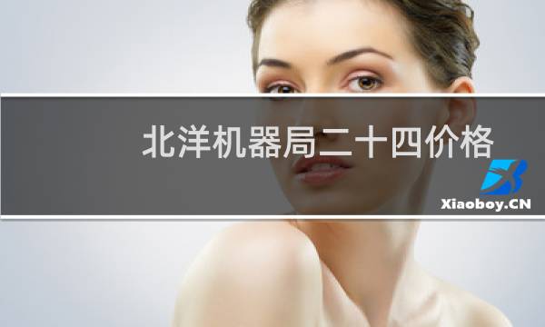 北洋机器局二十四价格