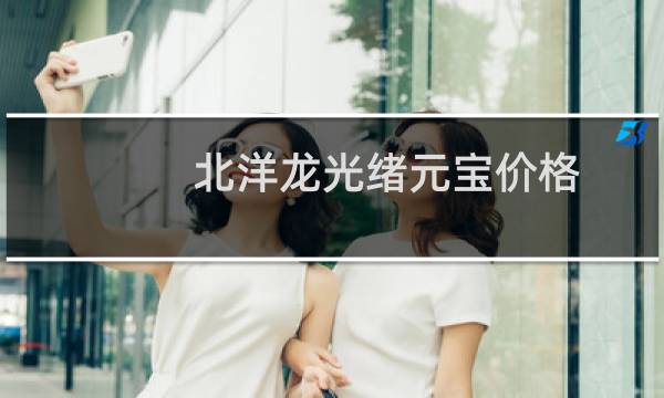 北洋龙光绪元宝价格