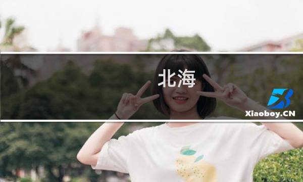 北海-涠洲岛船票