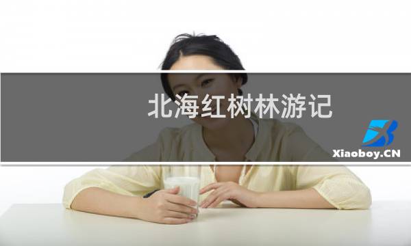 北海红树林游记