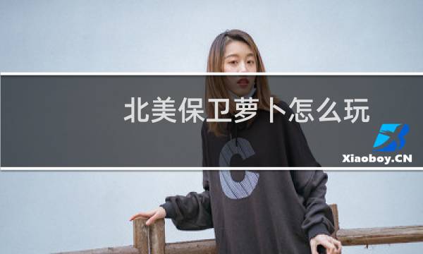 北美保卫萝卜怎么玩