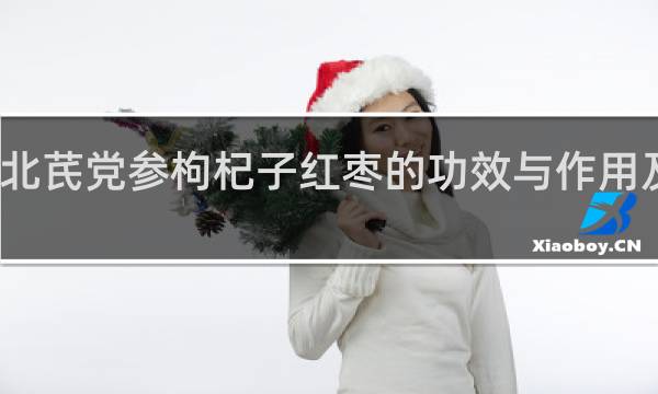 北芪党参枸杞子红枣的功效与作用及禁忌