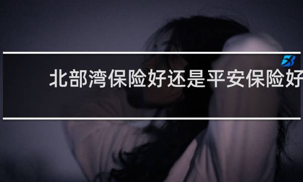 北部湾保险好还是平安保险好