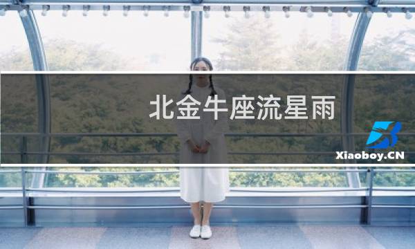 北金牛座流星雨