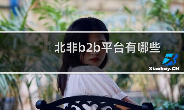 北非b2b平台有哪些