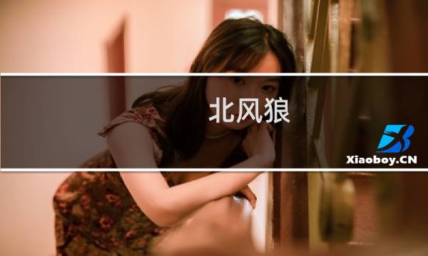 北风狼 攻略