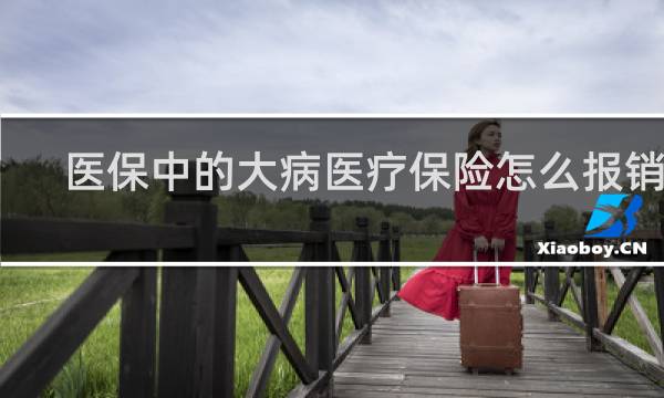 医保中的大病医疗保险怎么报销的