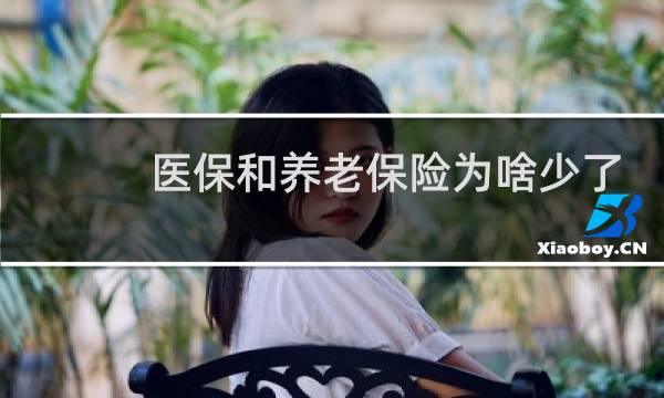 医保和养老保险为啥少了