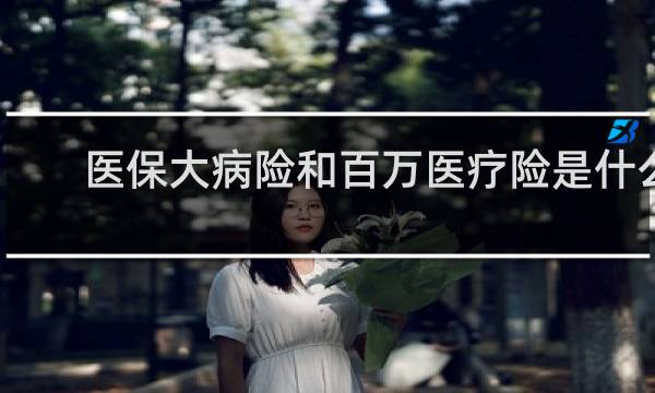 医保大病险和百万医疗险是什么