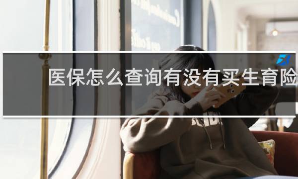 医保怎么查询有没有买生育险