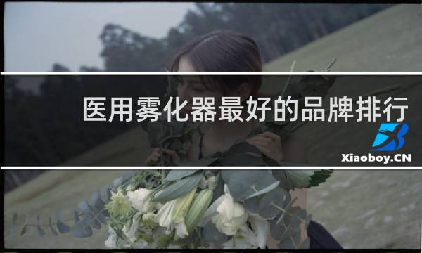 医用雾化器最好的品牌排行