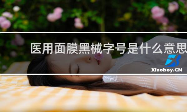 医用面膜黑械字号是什么意思