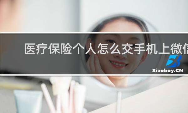 医疗保险个人怎么交手机上微信
