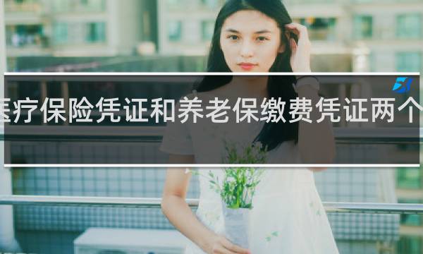 医疗保险凭证和养老保缴费凭证两个凭证吗