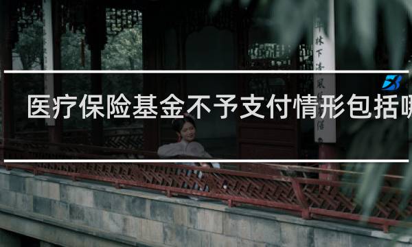 医疗保险基金不予支付情形包括哪些