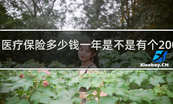 医疗保险多少钱一年是不是有个200多的