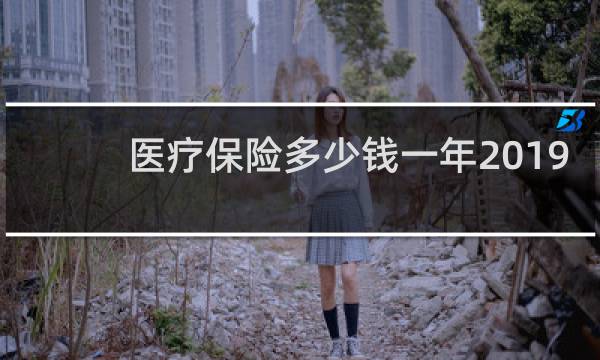 医疗保险多少钱一年2019