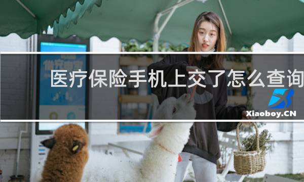 医疗保险手机上交了怎么查询