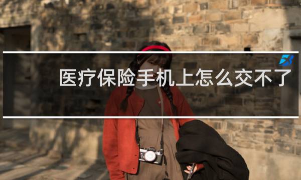 医疗保险手机上怎么交不了