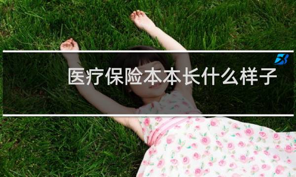 医疗保险本本长什么样子