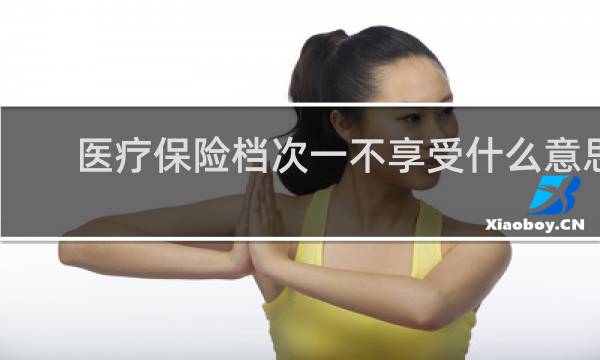 医疗保险档次一不享受什么意思