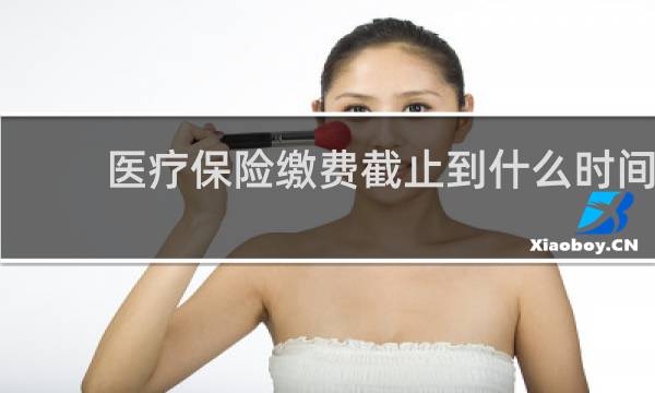 医疗保险缴费截止到什么时间
