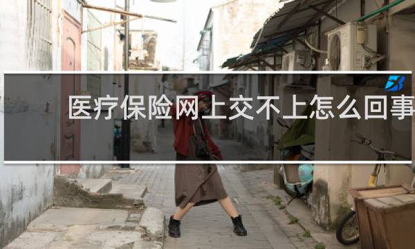 医疗保险网上交不上怎么回事