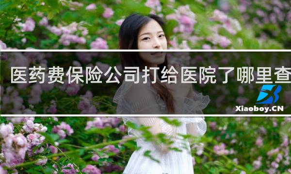 医药费保险公司打给医院了哪里查得到