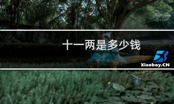 十一两是多少钱
