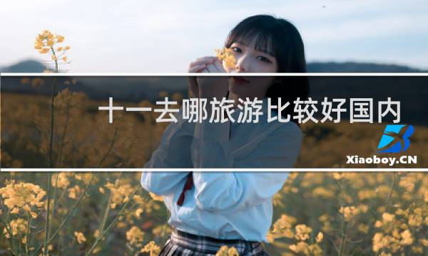 十一去哪旅游比较好国内