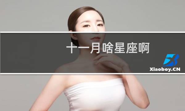 十一月啥星座啊